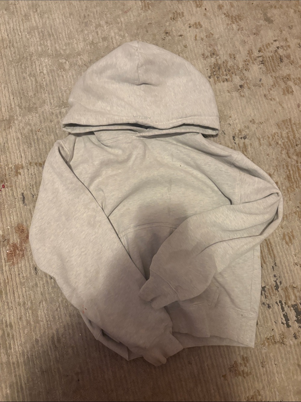 Aritzia Light Gray Hoodie